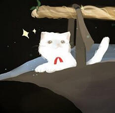 Cat DP
